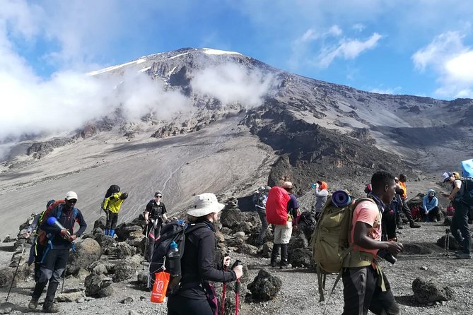 Best Kilimanjaro Adventure 7 days Machame route Trekking - Moshi start time, pickup options, and what that means for you