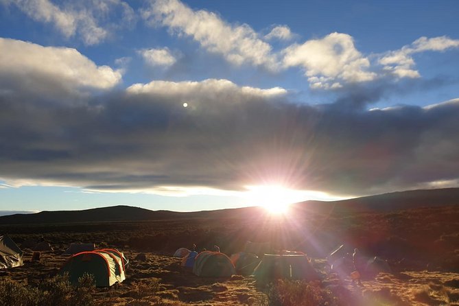 Best Kilimanjaro Adventure 7 days Machame route Trekking - Day 6: Midnight start, summit sunrise over the Great Rift Valley, then down to Mweka