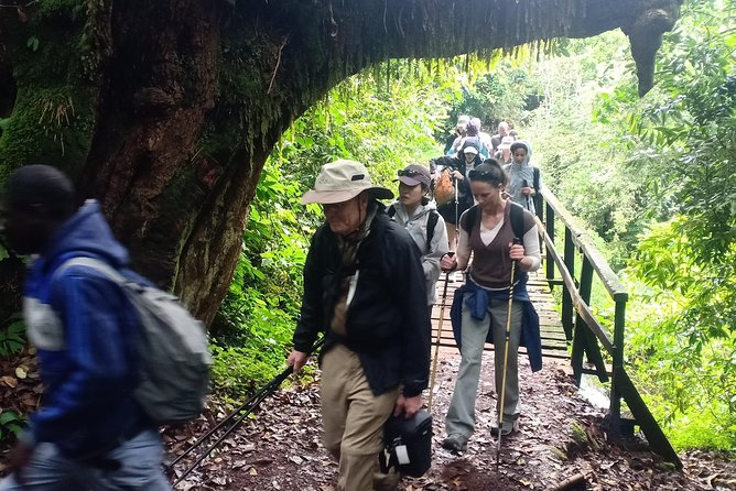 Best Kilimanjaro Adventures 6 Days Marangu Route Experience - Key things that make this Marangu trek worth your attention