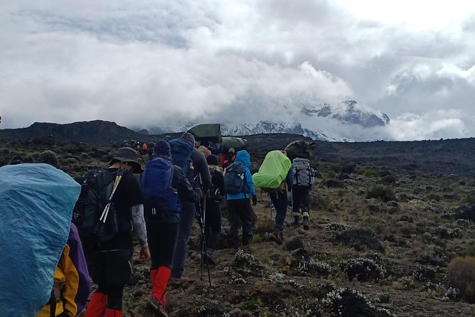 Best Kilimanjaro Adventures 6 Days Marangu Route Experience - Moshi pickup, an 8:30am start, and getting to Marangu Gate