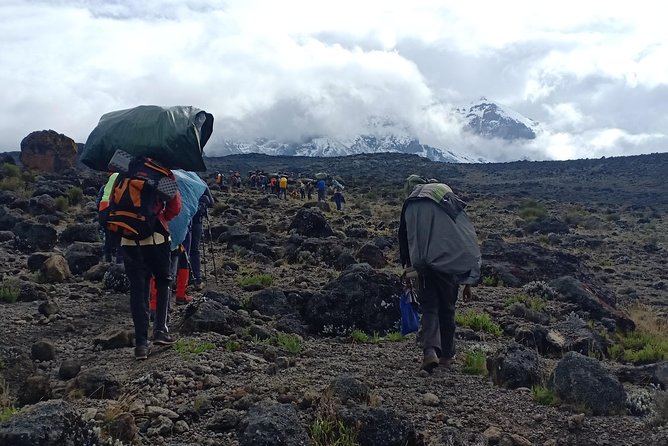 Best Kilimanjaro Adventures 6 Days Marangu Route Experience - Day 1: Rainforest trail to Mandara Hut, plus a Maundi Crater side option