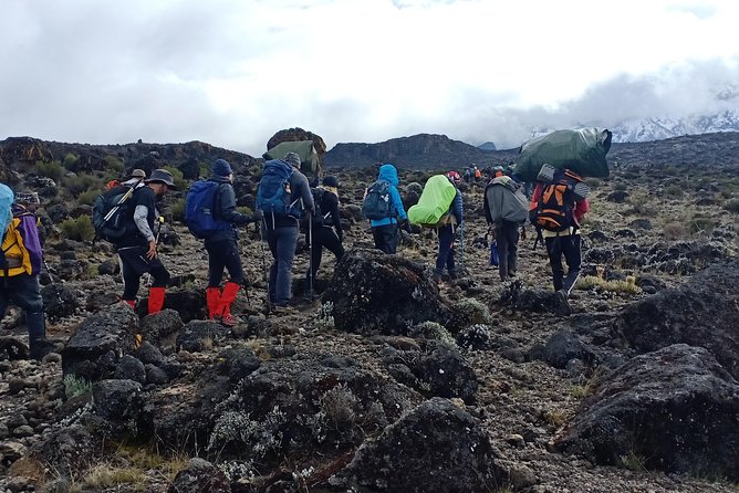 Best Kilimanjaro Adventures 6 Days Marangu Route Experience - Day 2: From Mandara into moorland toward Horombo Hut