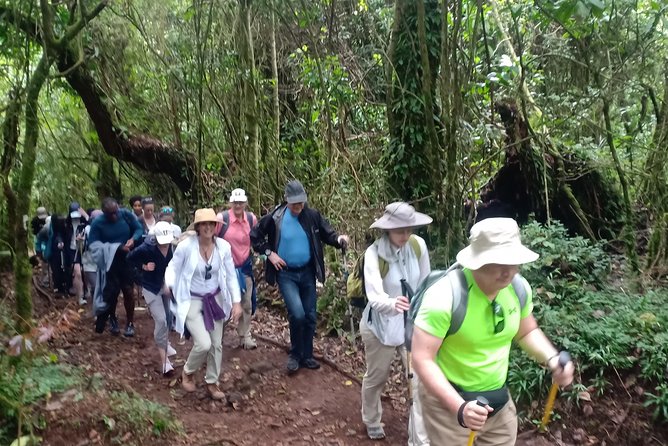 Best Kilimanjaro Adventures 6 Days Marangu Route Experience - Day 3: The acclimatization day to Mawenzi Hut, not just a rest day