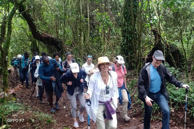 Best Kilimanjaro Adventures 6 Days Marangu Route Experience - Day 4: Toward Kibo Hut, through Saddle and the alpine desert feel