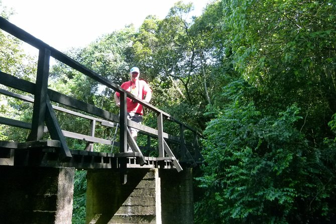Best Kilimanjaro hiking day trip tour with Kilinge Adventures - Key Points I’d Plan Around