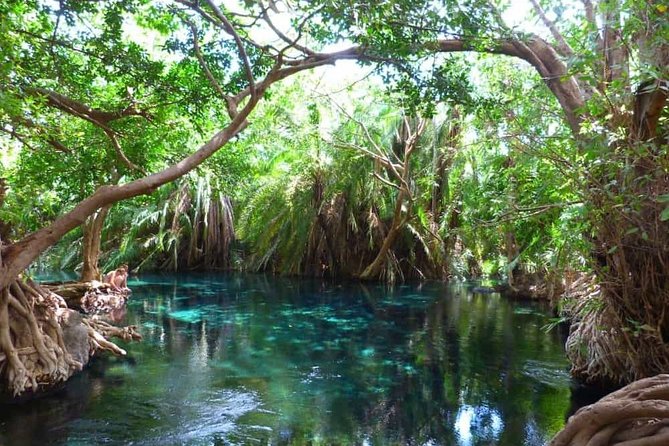 Best Materuni waterfall and chemka hotspring day Tour Experience - Moshi day-trip timing: what a 1-day pace means