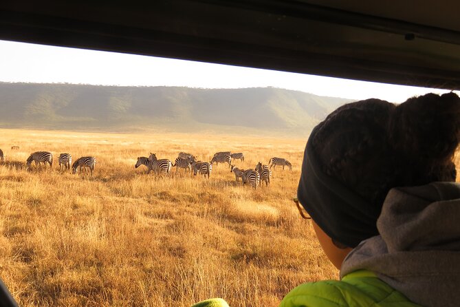 Best Of Six Days Safari Camping safari - Six Days To Chase the Serengeti Calving Migration