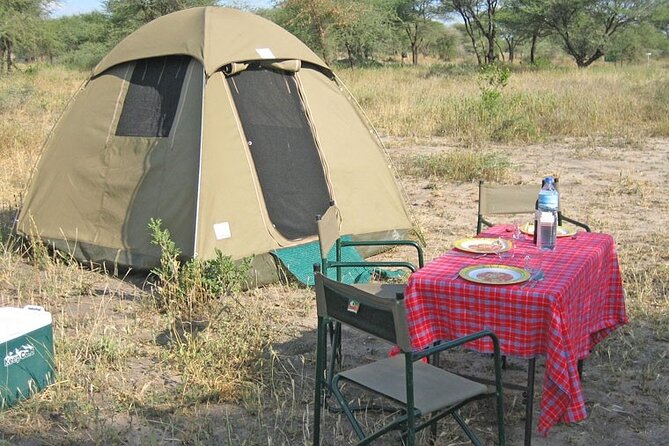 Best Of Six Days Safari Camping safari - Days 3 and 4 Serengeti National Park: Watching Calves and the Herd Rhythm