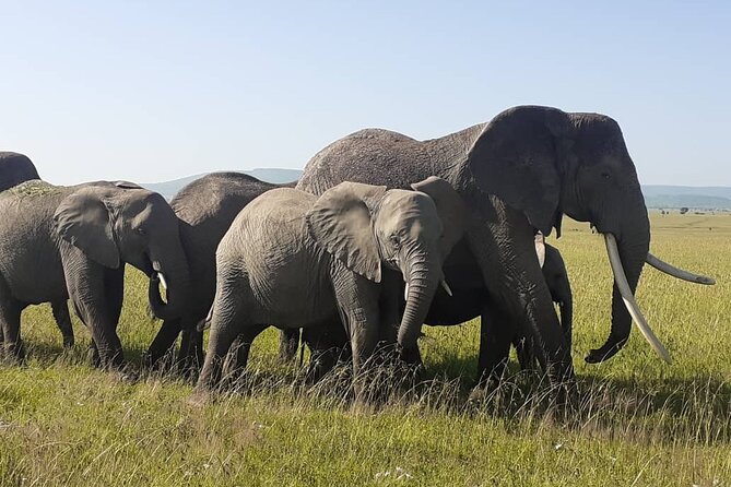 Best of Tanzania 5days 4nights safari - The route: why this 5-day safari works