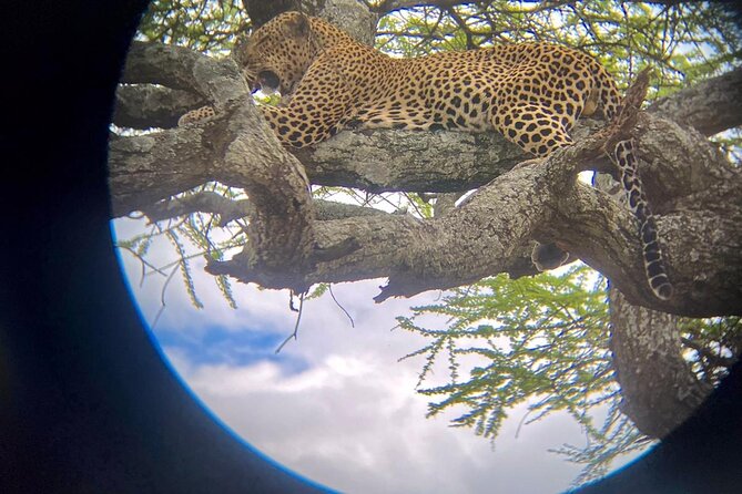 Best of Tanzania 5days 4nights safari - From Arusha pickup to Tarangire: elephants and river drama