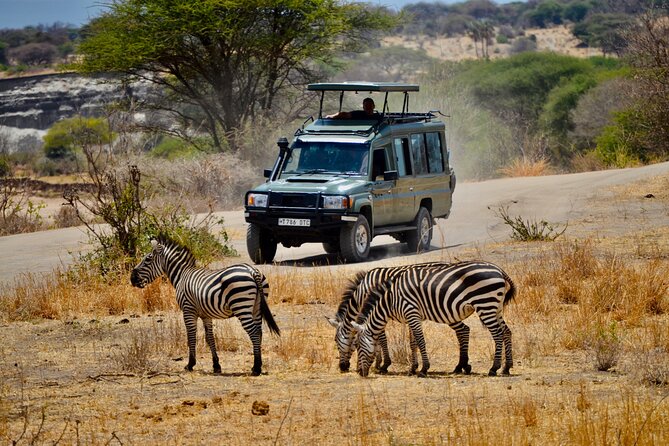 Best Safari and Zanzibar 10-Days Excursions - Tarangire National Park: elephants, baobabs, and the thirsty-season draw (Day 3)
