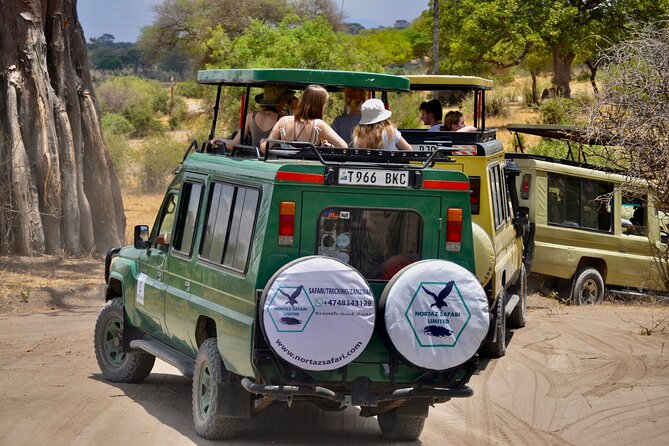 Best Safari and Zanzibar 10-Days Excursions - Arusha Region day: markets and Tanzanite vibes (Day 2)