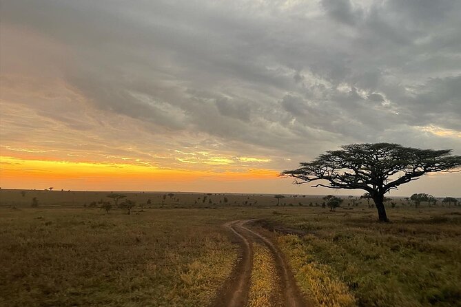 Big Five Dream Safari - The Walking Safari and Elephant Caves Hike: Why These Add Value