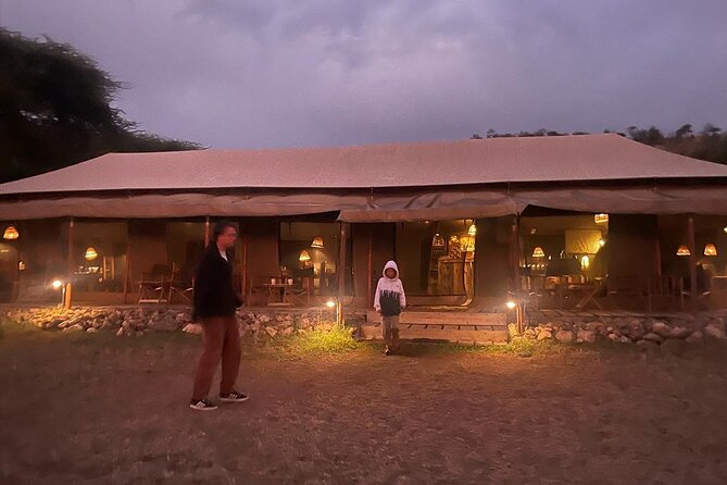 Big Five Dream Safari - Camping vs Luxury Glamping: Choosing the Right Night Setup