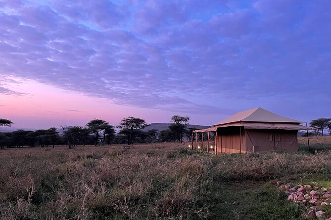 Big Five Dream Safari - Tarangire National Park: Elephants, Wide Skies, and Real Variety
