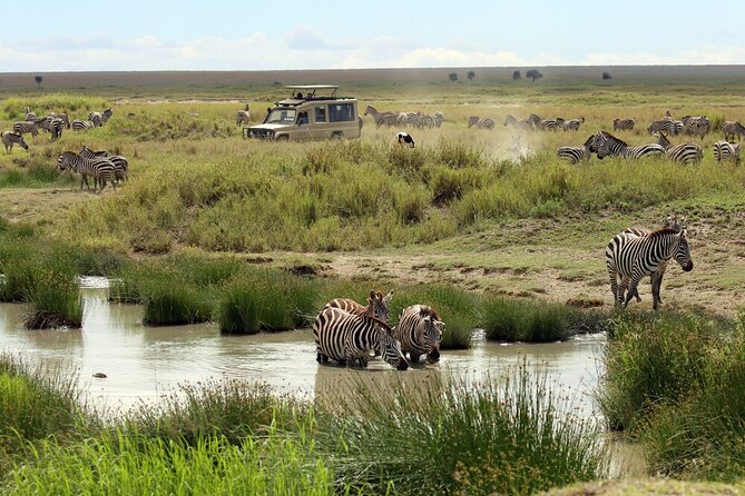 Big Five Luxury 7 Days Safari Tour in Arusha - Tarangire National Park: Elephant Power and Baobab Energy