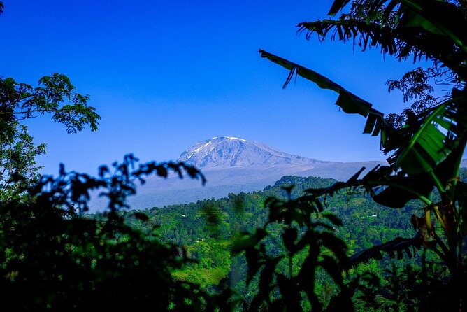 Bodaboda Experience to Materuni Waterfall and Coffee Tour - The coffee tour on Kilimanjaro slopes: more than tasting