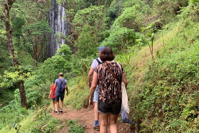 Bodaboda Experience to Materuni Waterfall and Coffee Tour - Lunch with local mamas and banana beer testing