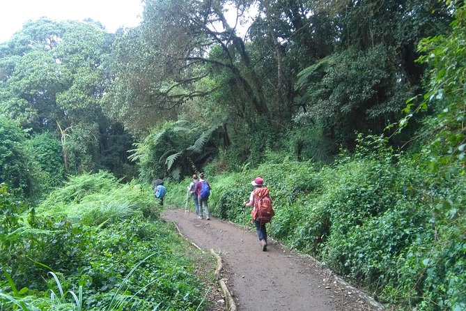 Book Day Hike at Rau Forest Reserve, Near Moshi Town in Tanzania - Key things to know before you go