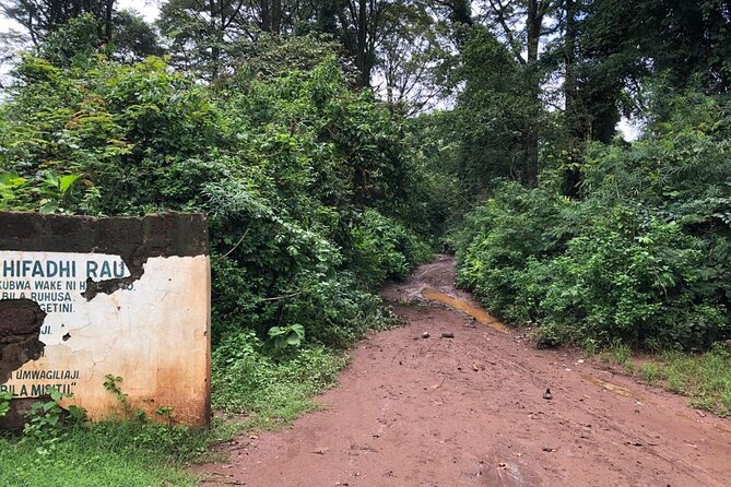 Book Day Hike at Rau Forest Reserve, Near Moshi Town in Tanzania - Entering Rau Forest Reserve from Ghala Road, near Moshi