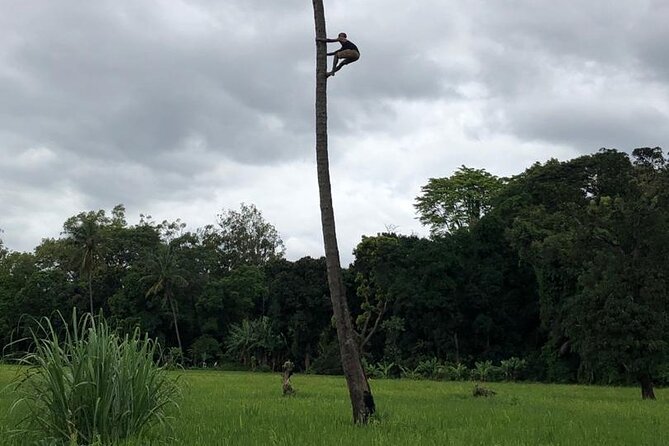 Book Day Hike at Rau Forest Reserve, Near Moshi Town in Tanzania - What to pack for a 3.5 hour forest and rice-farm day