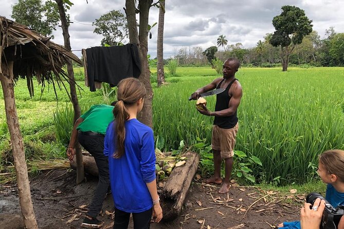 Book Day Hike at Rau Forest Reserve, Near Moshi Town in Tanzania - Why the forest feels special: springs, catchment, and animal habitat