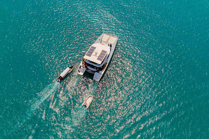 Catamaran Sunset Cruise in Stone Town - Price and value: why $100 can make sense here