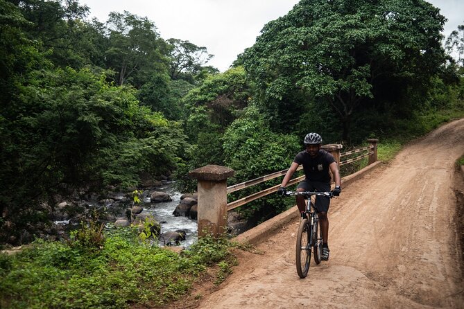 Chagga Villages in Mount Kilimanjaro Cycling Day Trip - The ride feel: a moderate challenge with real rhythm