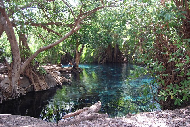 Chemka Hot Springs Day Trip - Why Kikuletwa Hot Springs makes sense as a day trip