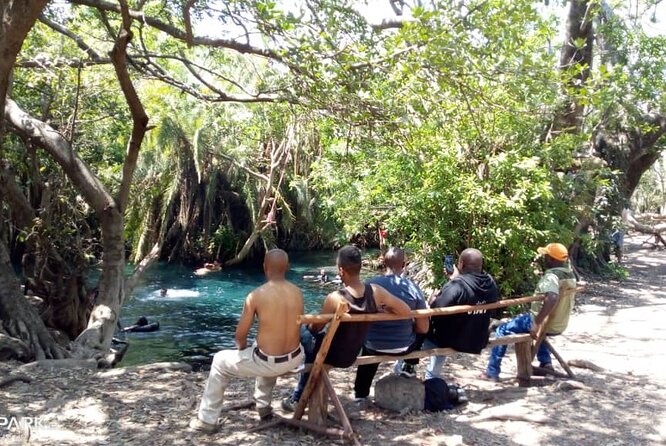 Chemka Hot Springs Day Trip - Arriving at Kikuletwa: nature time and a proper relaxation break