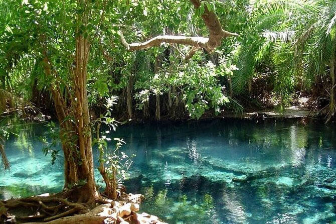 Chemka Hot Springs Day Trip - Price and value: what you really get for $120