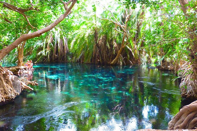 Chemka Hot Springs Tour from Moshi - Key things to know before you go
