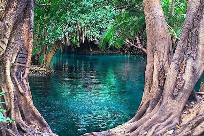 Chemka Hot Springs Tour from Moshi - Chemka Hot Springs: Why It Feels Like an Oasis Near Moshi