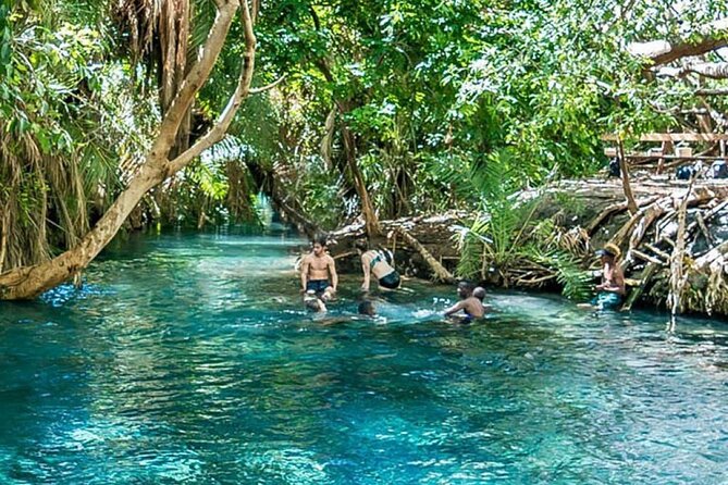 Chemka Hot Springs Tour from Moshi - Getting There From Moshi: Private Pickup and a Simple Schedule