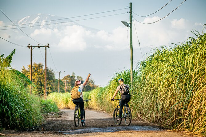 Chemka Hotpsrings E-Bike Day Trip - From Moshi at 9:00 am to Kikuletwa pools: how this day really flows