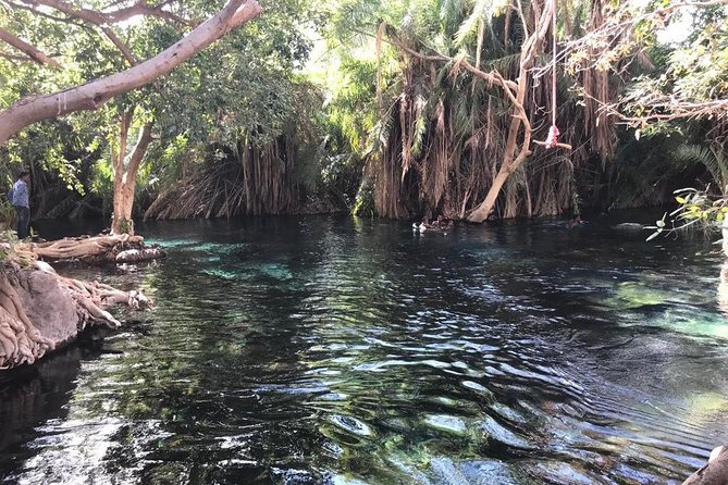 Chemka Hotsprings - Getting to Kikuletwa Hot Springs: What the Start Feels Like