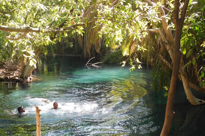 Chemka (Kikuletwa) Hot Springs, Tanzania - Key highlights you should care about