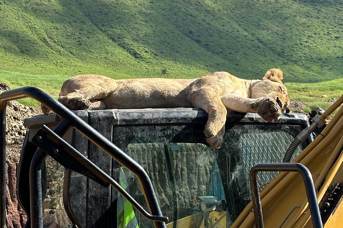 Classic 4-Day Tanzania Safari: Tarangire, Serengeti & Ngorongoro - Key things that make this safari work