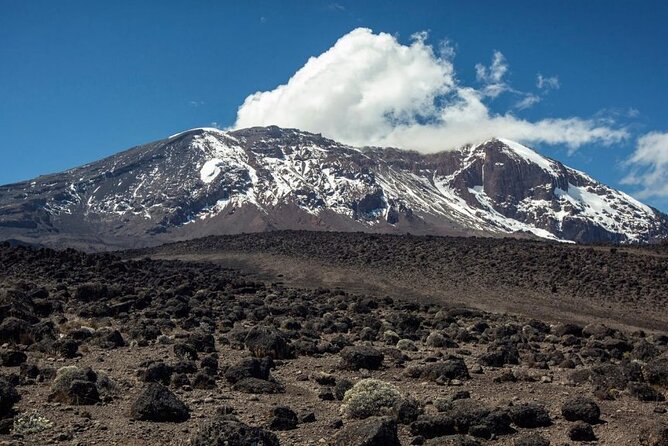 Climb Kilimanjaro, 7 Days Machame Route Hiking - Day by Day Rhythm: How the 7-Day Plan Keeps You From Burning Out
