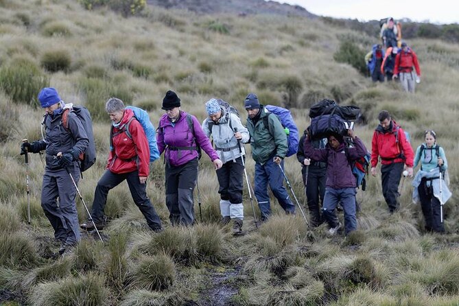 Climb Kilimanjaro, 7 Days Machame Route Hiking - Why Machame Works: High Trek, Low Sleep, Better Acclimatization