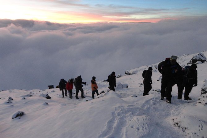 Climb Kilimanjaro 8-Day Lemosho Route with Stunning Scenic Views - Day 4 to Day 5: Lava Tower altitude check and the Barranco Wall day