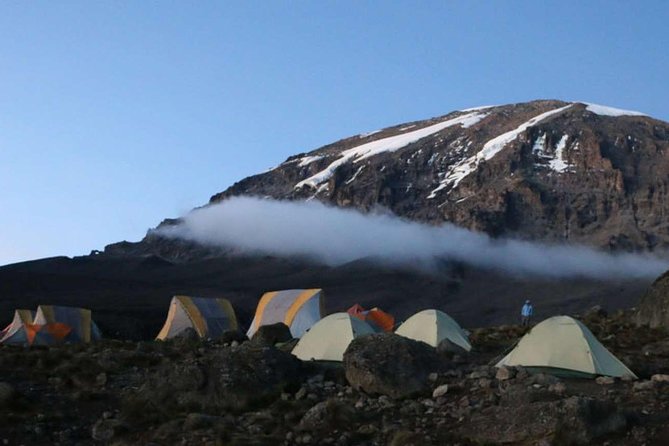 Climb Kilimanjaro 8-Day Lemosho Route with Stunning Scenic Views - Day 1 to Day 3: rainforest starts, Shira Plateau wide views