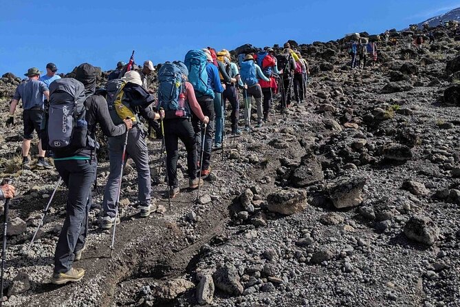 Climb Kilimanjaro in 8 Days via Lemosho Route - Day 7: Stella Point sunrise, Uhuru Peak, then down to Mweka Camp