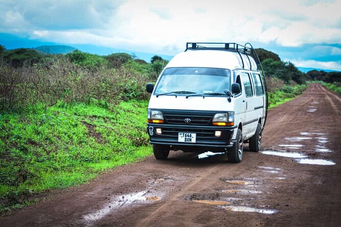 Climb Kilimanjaro in 8 Days via Lemosho Route - Day 8: Mweka Gate rainforest descent and your return to Moshi