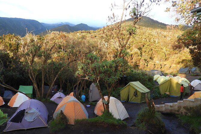 Climb Kilimanjaro - Lemosho Route 7 Day Climb - Day 3 to Shira Camp: acclimatization with a steady pace