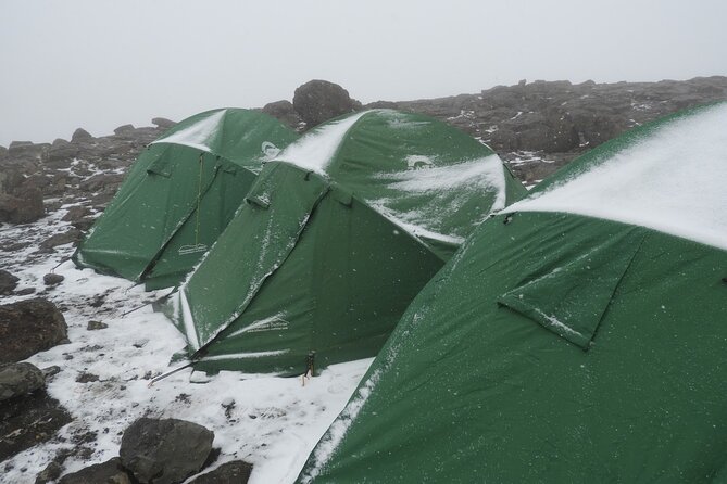 Climb Kilimanjaro - Lemosho Route 7 Day Climb - Day 5 toward Lava Tower: the semi-desert tough day