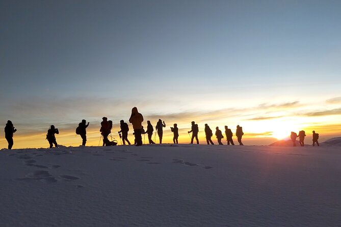 Climb Kilimanjaro - Lemosho Route 7 Day Climb - Timing, group size, and fitness reality checks