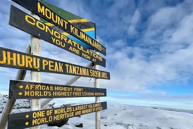 Climb Kilimanjaro Machame Route 7 Days - Moshi Airport Meet-Up, 4x4 Transfers, and the Start Line at Honey Badger Lodge