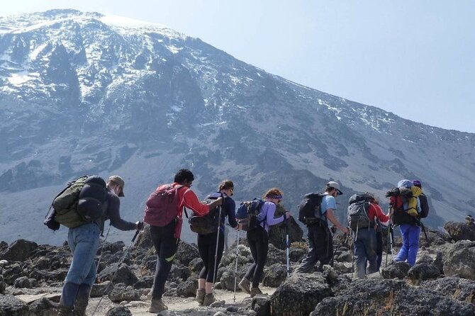 Climb Kilimanjaro - Marangu Route 8 Day Program - The Marangu Route’s Real Appeal, Huts and the Same Path