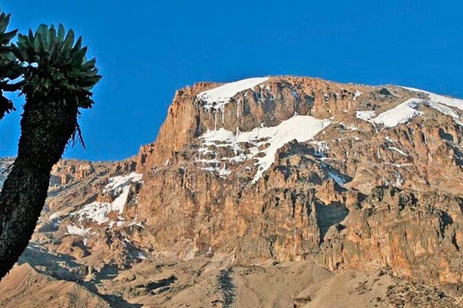 Climbing Kilimanjaro - Machame Route - Day 3 toward Lava Tower and Barranco camp: where altitude starts to bite